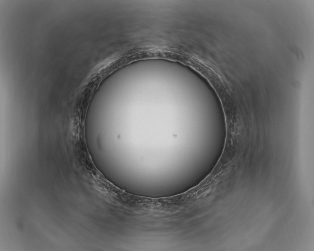 X0000110741207200906151056