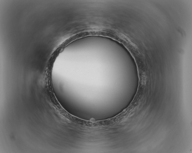 X0000110741208200906151056