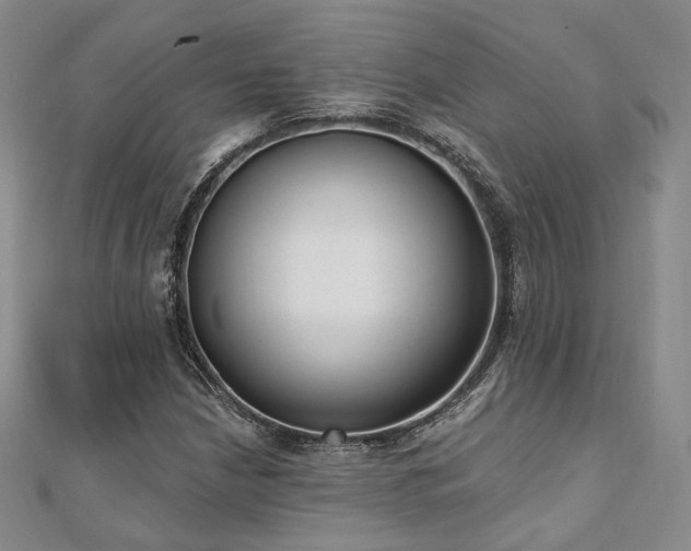 X0000110741210200906151056