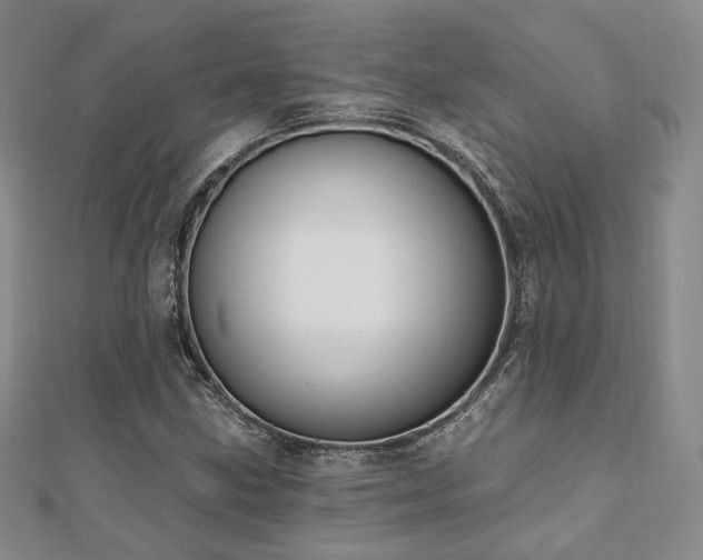 X0000110741211200906151056