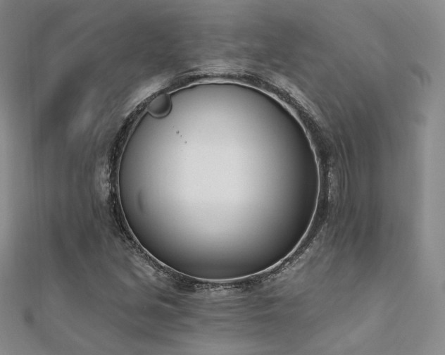 X0000110741213200906151056