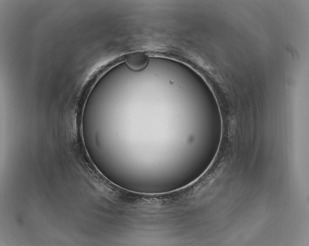 X0000110741214200906151056