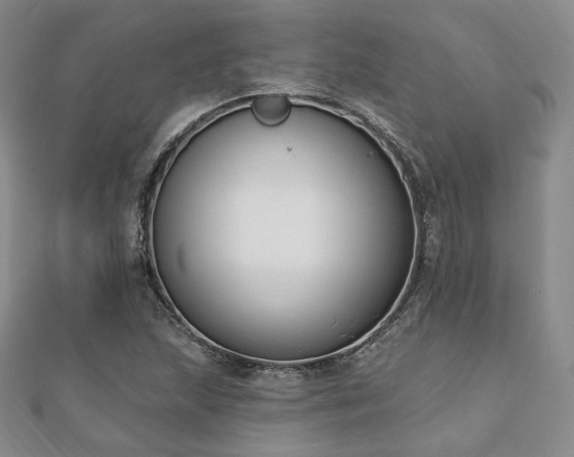 X0000110741215200906151056