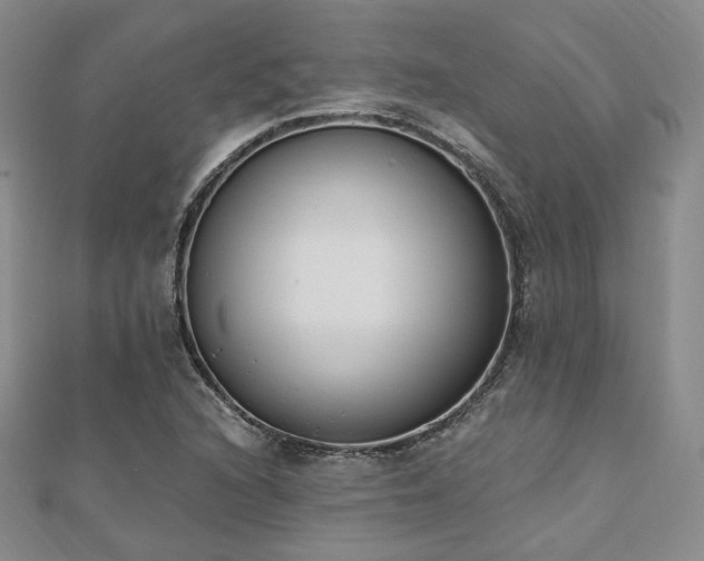 X0000110741216200906151056