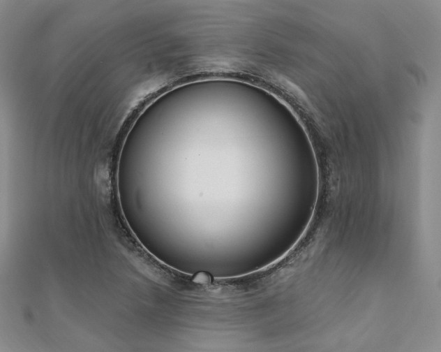 X0000110741218200906151056