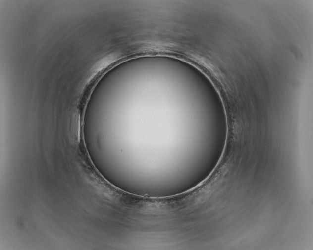 X0000110741219200906151056
