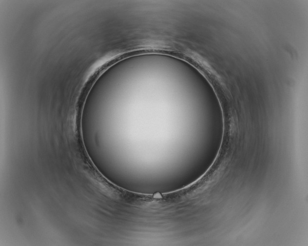 X0000110741222200906151056