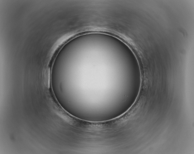 X0000110741223200906151056