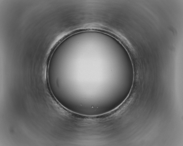 X0000110741224200906151057