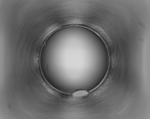 X0000110741225200906151057