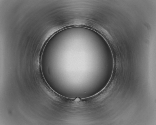 X0000110741226200906151057