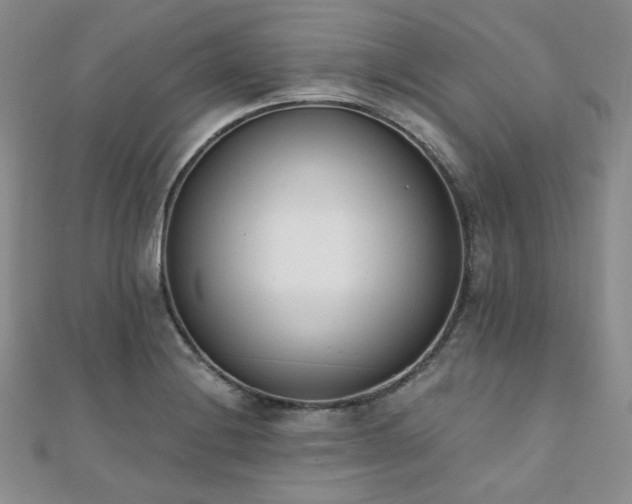 X0000110741228200906151057