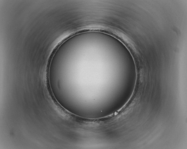 X0000110741229200906151057