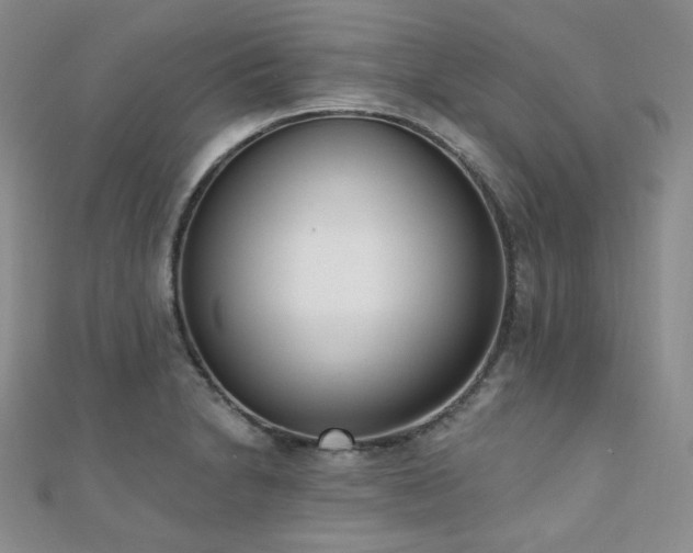 X0000110741230200906151057