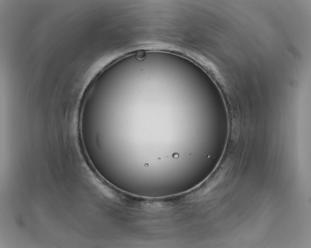 X0000110741231200906151057