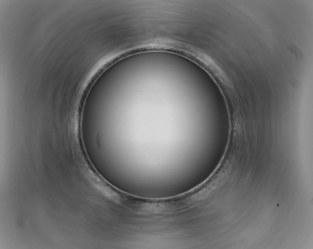 X0000110741232200906151057