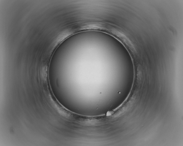 X0000110741233200906151057