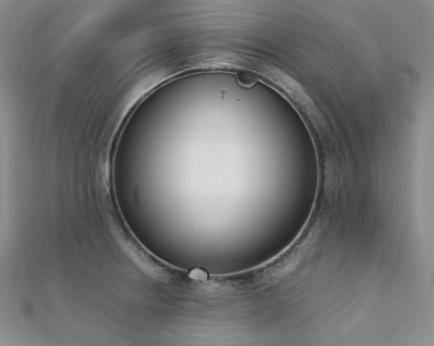X0000110741234200906151057
