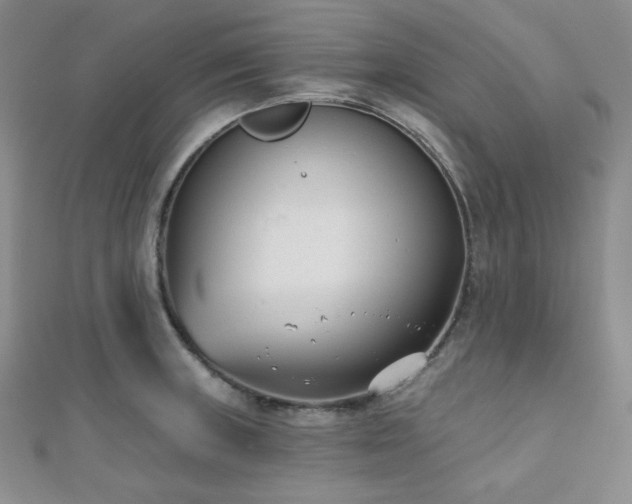 X0000110741235200906151057