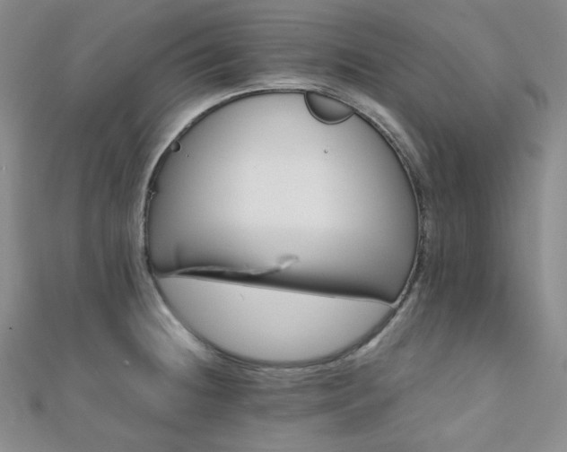 X0000110741236200906151057