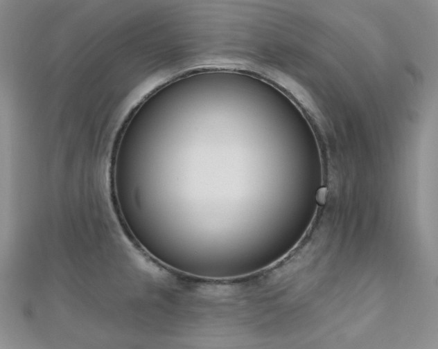 X0000110741237200906151057