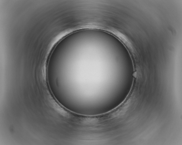X0000110741238200906151057