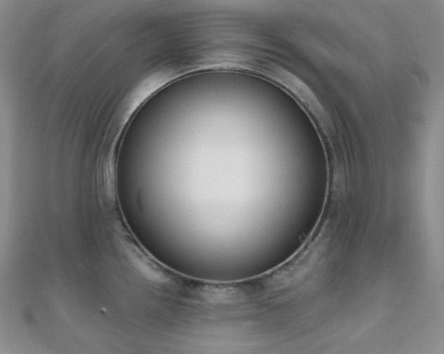 X0000110741242200906151057