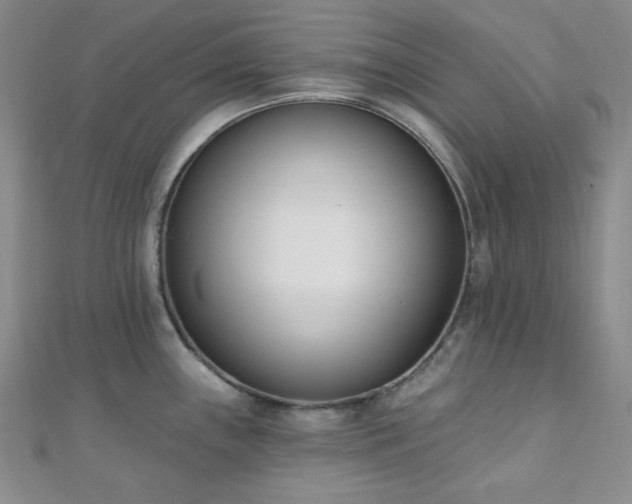 X0000110741243200906151057