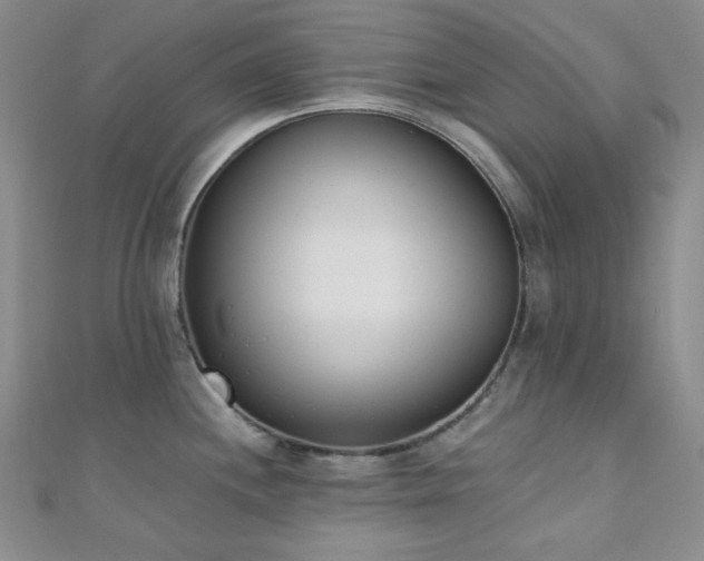 X0000110741244200906151057