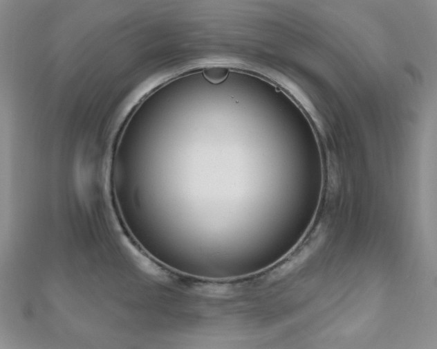 X0000110741245200906151057