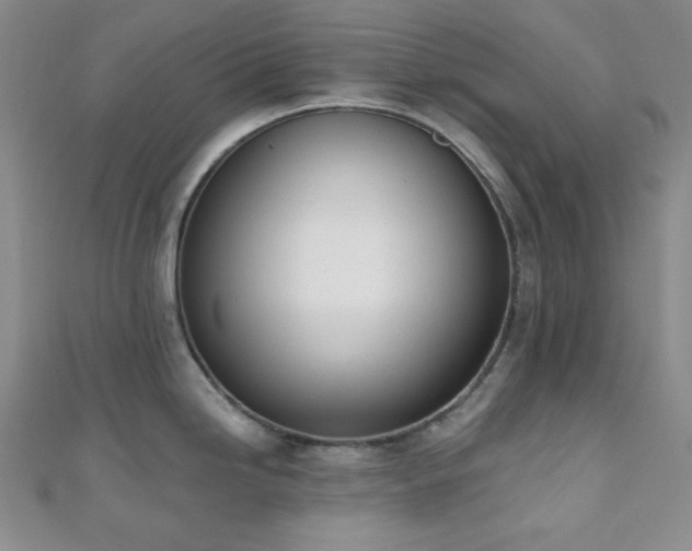 X0000110741246200906151057