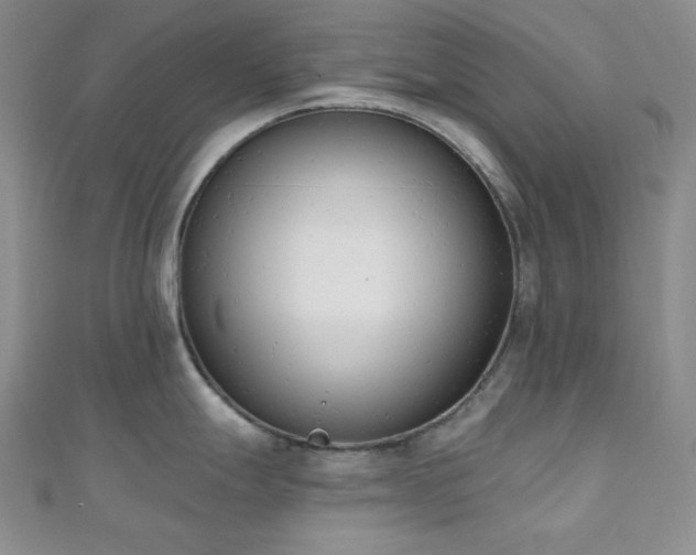 X0000110741247200906151057