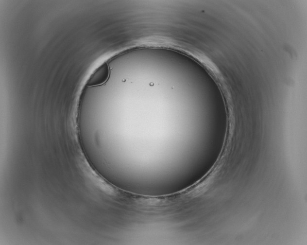 X0000110741248200906151057