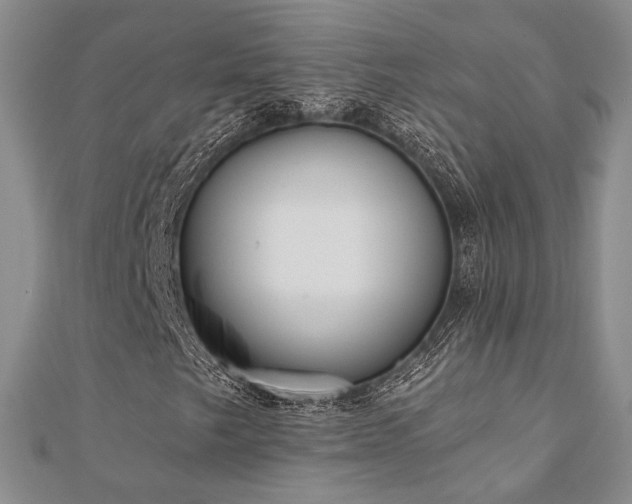 X0000110741249200906151056