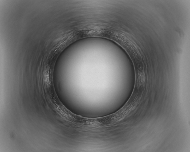X0000110741250200906151056