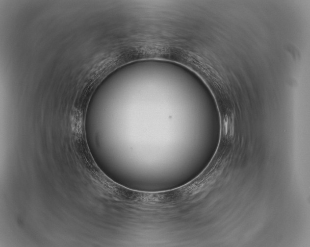 X0000110741251200906151056