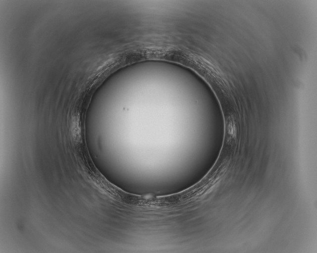 X0000110741252200906151056