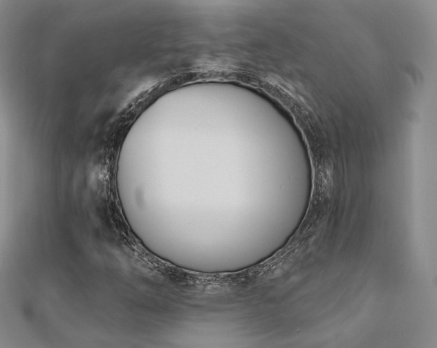 X0000110741254200906151056