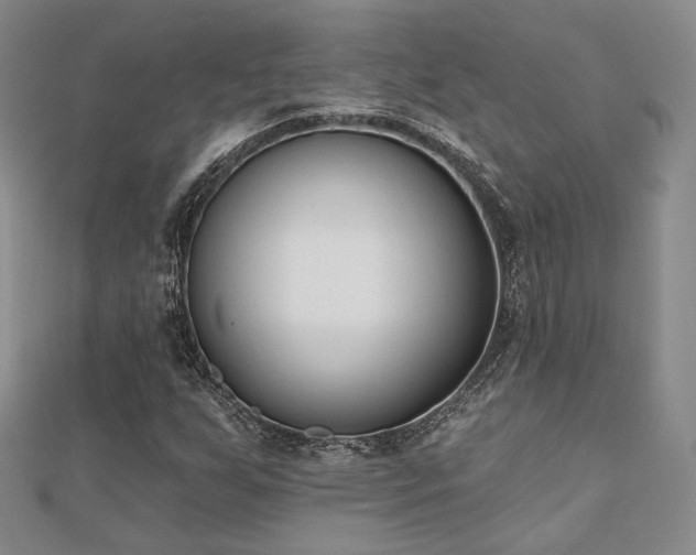 X0000110741255200906151056