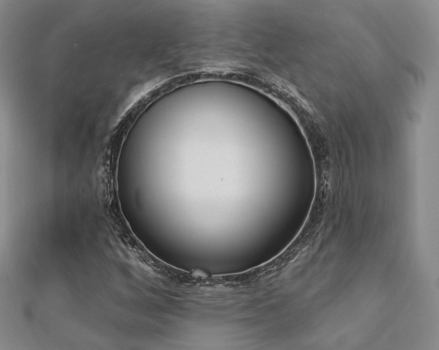 X0000110741256200906151056