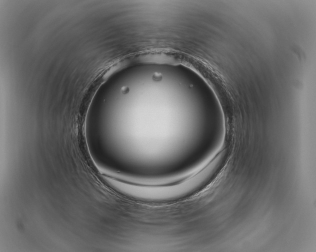 X0000110741257200906151056