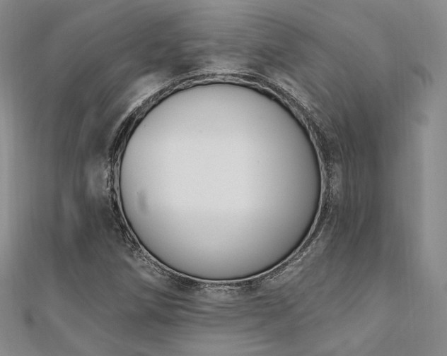 X0000110741258200906151056
