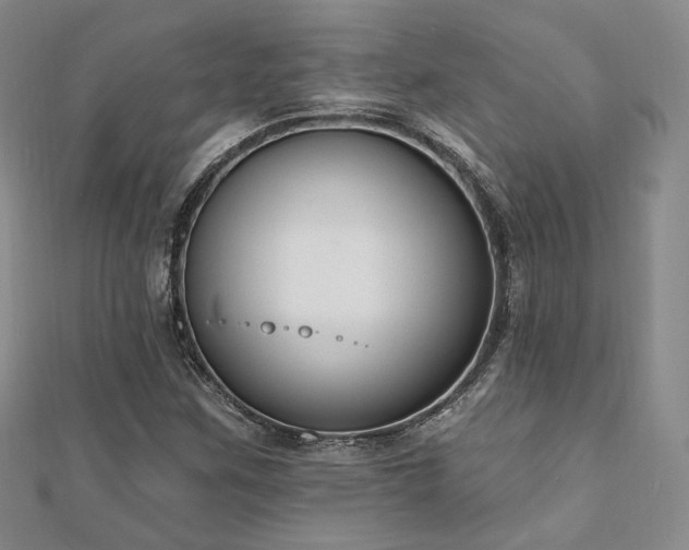 X0000110741259200906151056