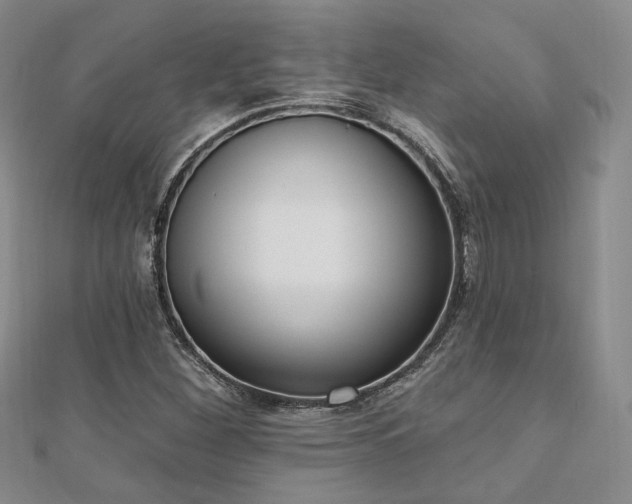 X0000110741260200906151056