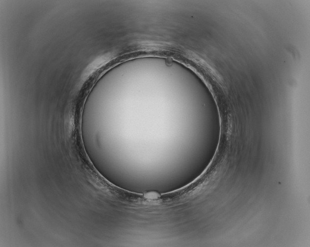 X0000110741261200906151056