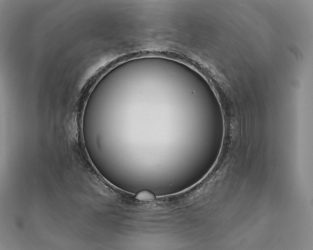 X0000110741262200906151056