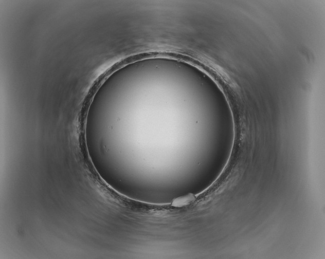 X0000110741264200906151056
