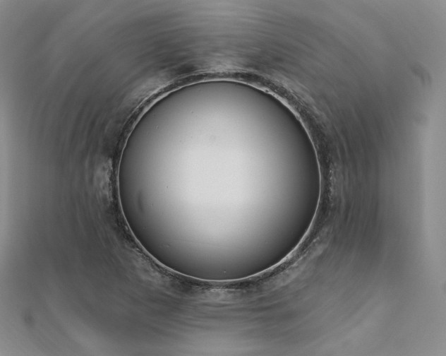 X0000110741265200906151056