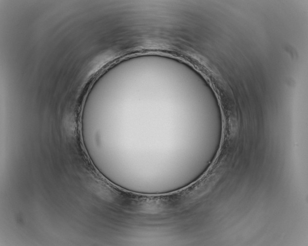 X0000110741266200906151056