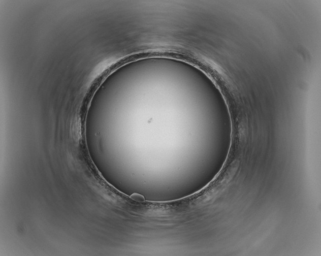 X0000110741267200906151056